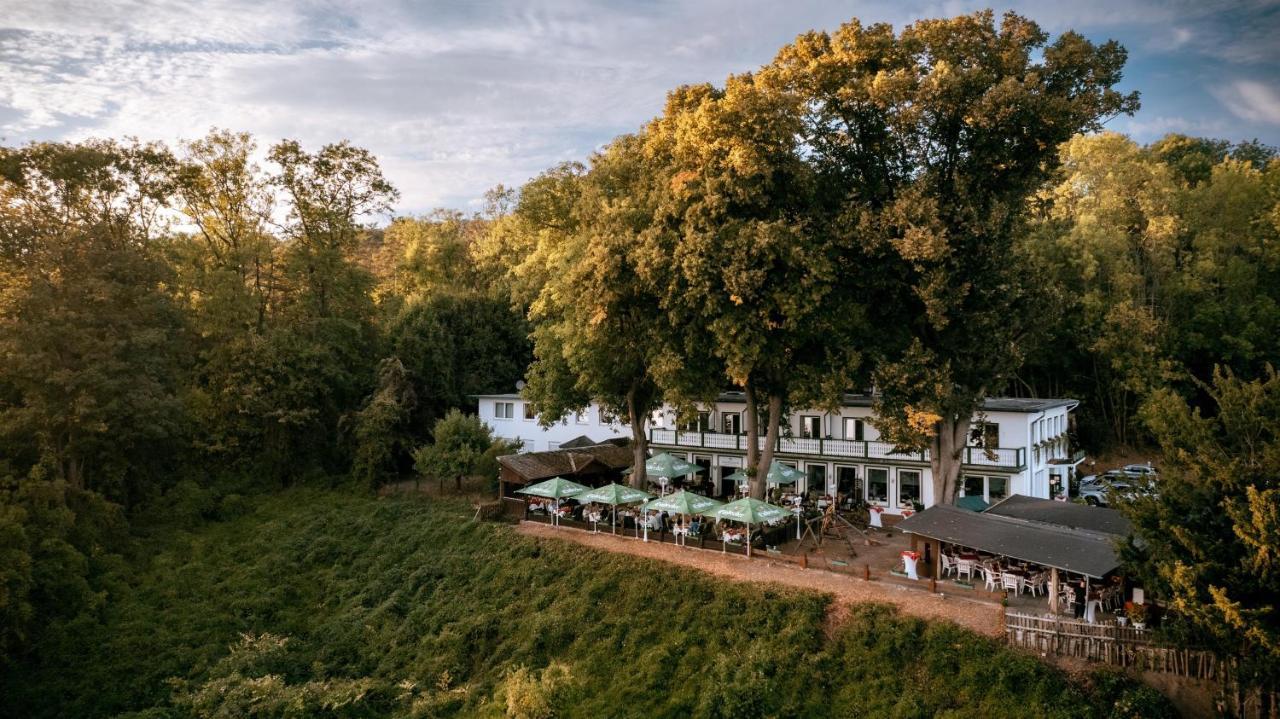 Hotel Hasenjaeger Einbeck Ngoại thất bức ảnh